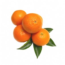 抠图专用橙子透明水果素材