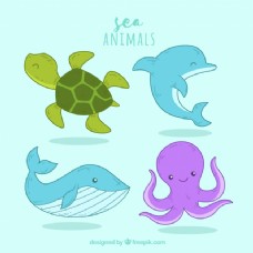 一群快乐的海洋动物