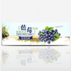 清新水果食品蓝莓新鲜美食淘宝banner