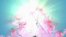 梦幻蓝天桃树背景视频素材
