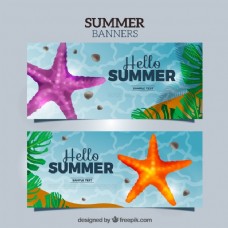 度假海星和棕榈叶的海旗