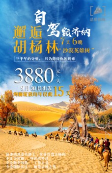 胡杨林旅游旅行宣传海报