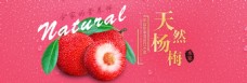 杨梅天然水果海报