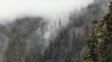 大自然大雾视频素材