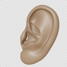 3d耳朵图免抠png透明图层素材