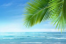 唯美背景海边椰树唯美动态背景视频素材