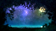 梦幻童话草丛月亮闪闪星光海面背景视频素材