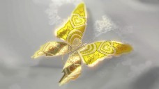 金色蝴蝶3D模型高清视频素材