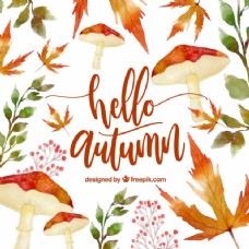 字体你好秋天叶子和蘑菇的背景