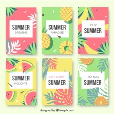 夏日夏季水果卡片和棕榈叶