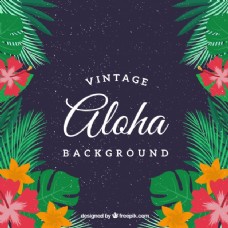 老式的ALOHA背景用鲜花和棕榈叶