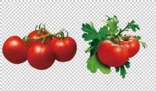 红色番茄西红柿免抠png透明图层素材