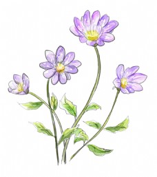 手绘紫色花朵花枝png元素素材