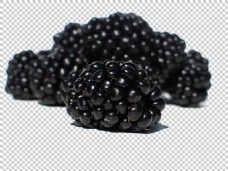 黑莓野果图片免抠png透明图层素材