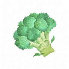绿色蔬菜绿色手绘西兰花卡通蔬菜厨房透明素材