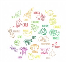 豌豆20款彩绘蔬菜和水果矢量图