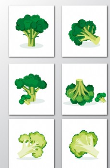 绿色蔬菜矢量花菜