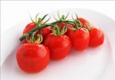 一串 西红柿 番茄