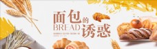 棕黄色写实面包小麦面粉烤面包