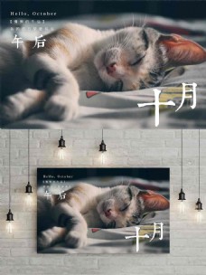 小猫睡觉十月你好唯美微信配图海报设计