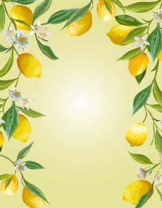 矢量清新水彩手绘柠檬边框背景