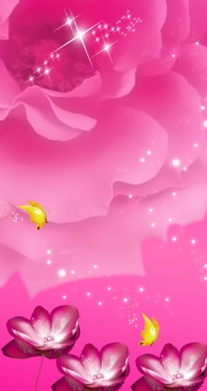 星星玫瑰蝴蝶星光熠熠粉色背景